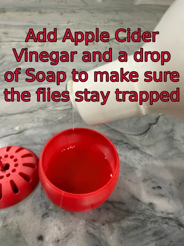 Soporte: Apple Shaped Fruit Fly Trap - Easy Print - Works! — vista de referencia 4