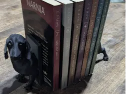 Dog a book's best friend