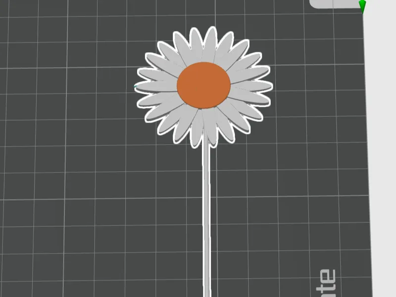 Daisy