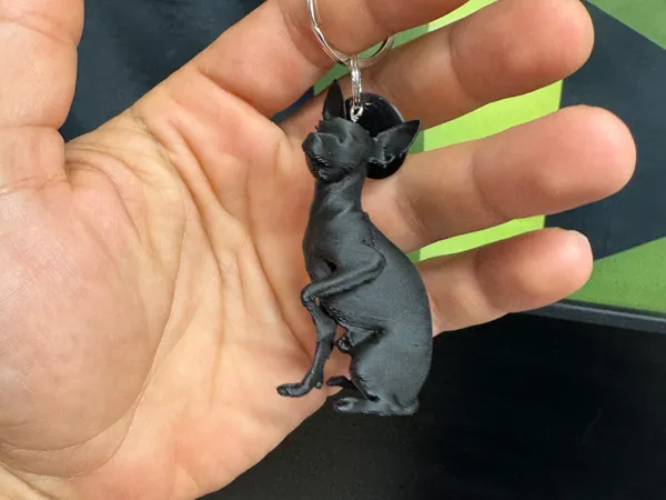https://makerworld.bblmw.com/makerworld/model/US64e3a3d15d75cf/design/2025-07-17_8ef78619b27fc.jpg