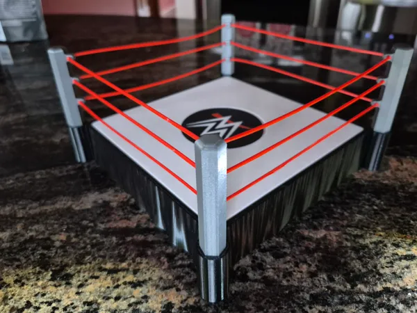 https://makerworld.bblmw.com/makerworld/model/US64e428d2ff22d8/design/2024-12-19_bc495d29448bd.jpg