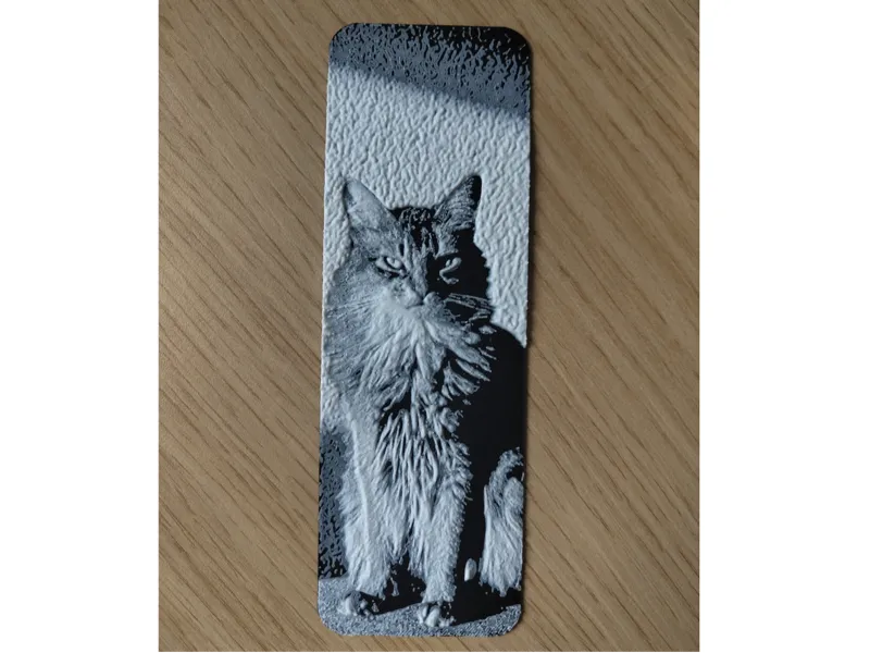 Rudy Somali Cat Bookmark
