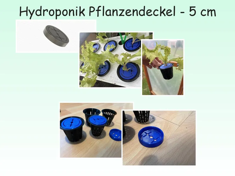 Hydroponic Lid for 5 cm / 2 inch Pots - TPU