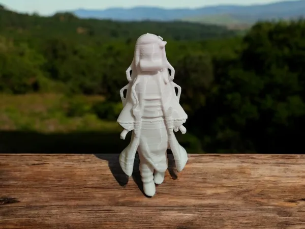 https://makerworld.bblmw.com/makerworld/model/US64f2846196b8c3/design/2024-12-20_48e9d8a516752.png