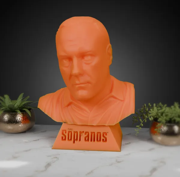 https://makerworld.bblmw.com/makerworld/model/US64f4705237afb8/design/2024-12-12_fabf974eb1e83.png