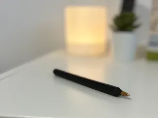 Modern pen 
