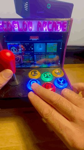 Ecoflow Arcade