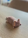 SILK and print quality optimized
