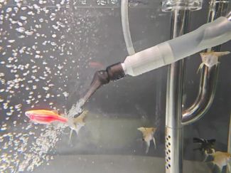 鱼缸出水口增氧头兼容森森等其他口径出口