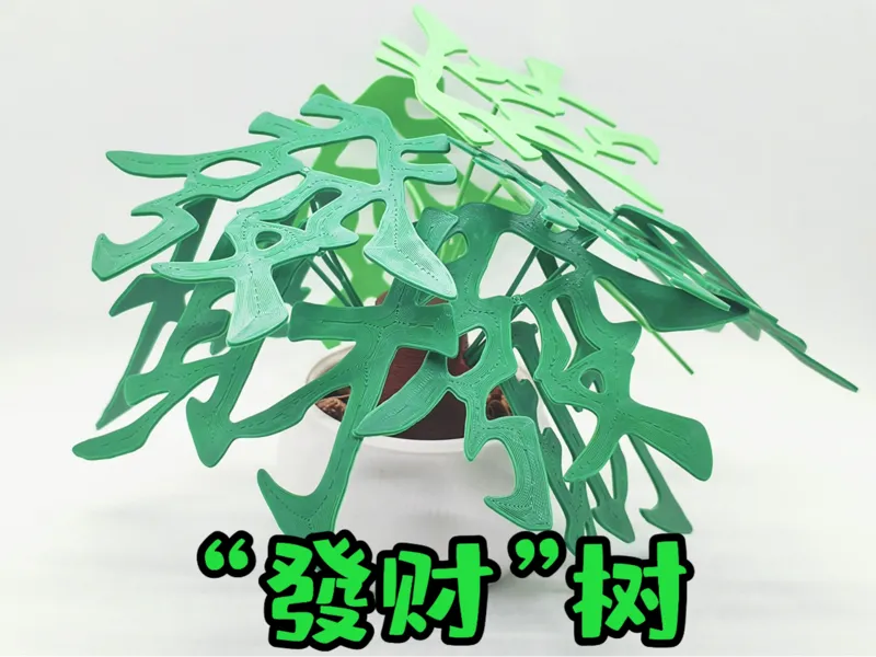 “發财”树盆栽