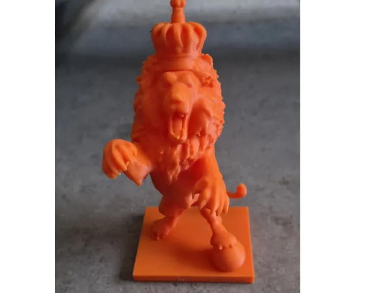 Nederlandse leeuw voetbal