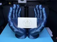0.16mm layer, 2 walls, 6% infill