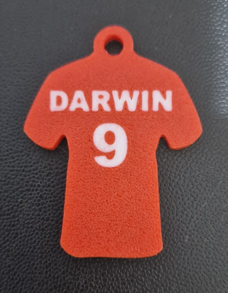 Darwin Nunez Keyring