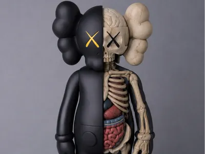 Kaws Flayed - Split anatomy - Fast Print