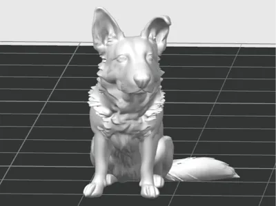 German Shepherd Sit