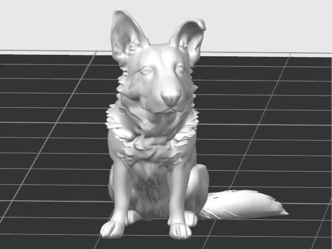 German Shepherd Sit