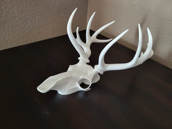 https://makerworld.bblmw.com/makerworld/model/US65170a630fc9b3/design/2025-02-28_cc7d591cb3901.jpg