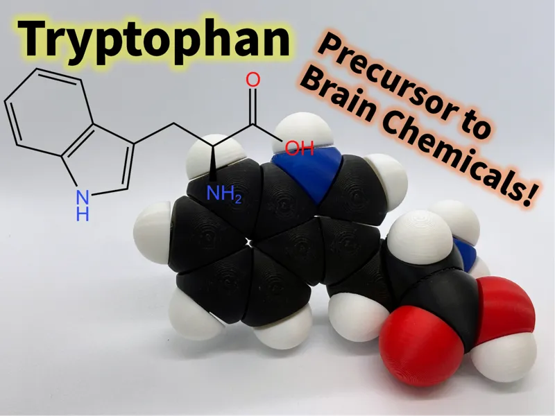 Tryptophan molfidget with rotatable bonds