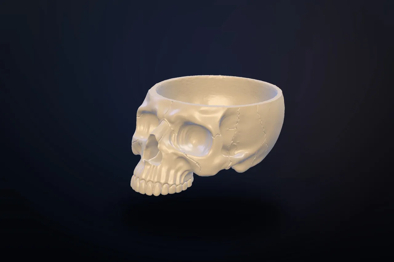 Skull Bowl/Organizer/Ashtray view 4