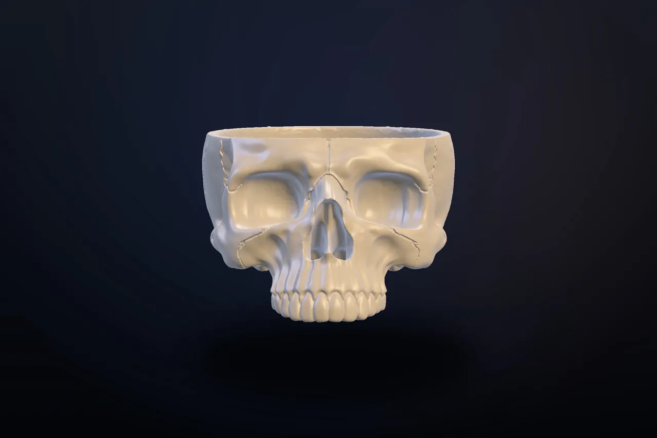 Skull Bowl/Organizer/Ashtray view 3