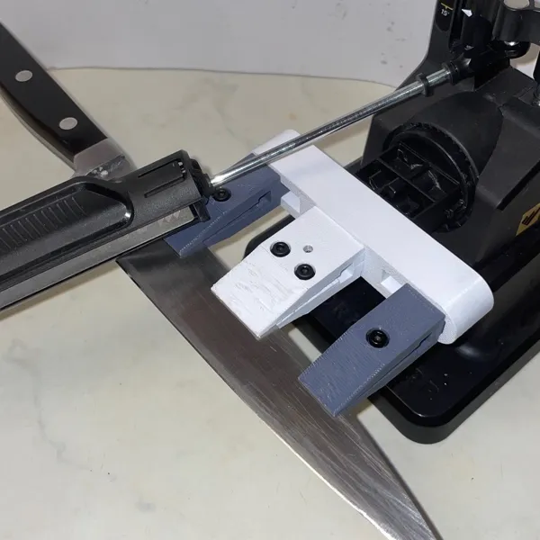 https://makerworld.bblmw.com/makerworld/model/US6519206181d821/design/2024-04-30_47d03f31ae9e7.jpg