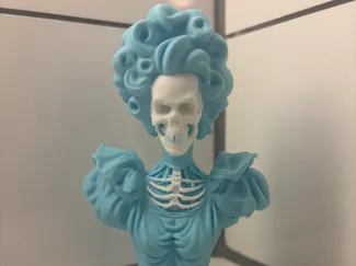 Victorian Lady Skeleton Bust