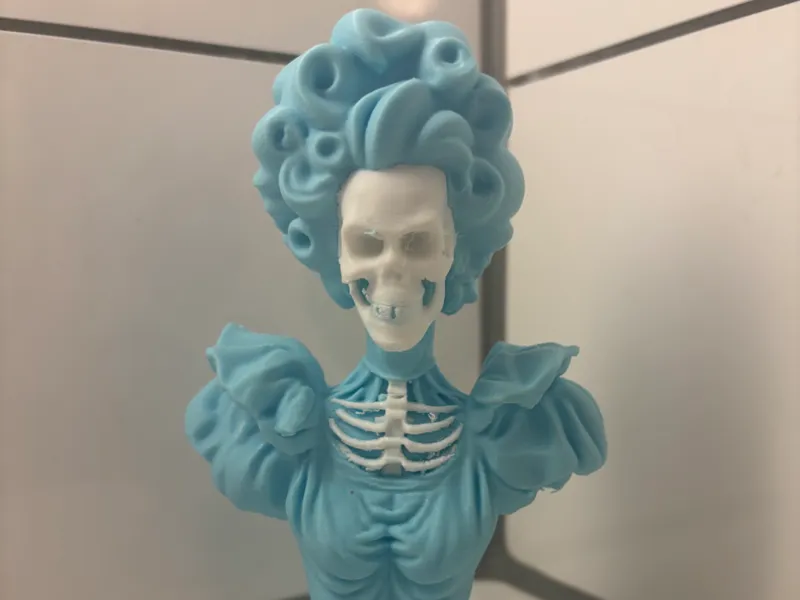Victorian Lady Skeleton Bust