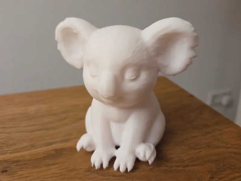 Koala