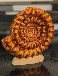 0.2mm layer, 3 walls, 5% infill