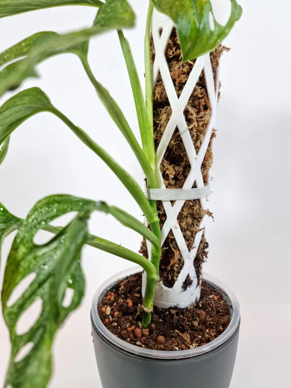 https://makerworld.bblmw.com/makerworld/model/US65250a33e79281/design/2023-12-25_4a296c641d5238.jpg