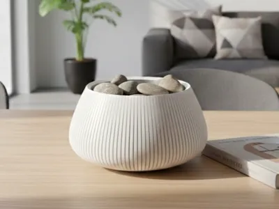 Modern Bowl Home