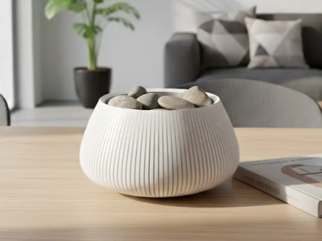 Modern Bowl Home