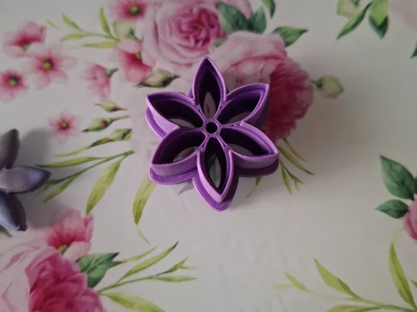 https://makerworld.bblmw.com/makerworld/model/US652e6379deea76/design/2025-09-08_0438e497847cd8.jpg