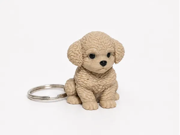https://makerworld.bblmw.com/makerworld/model/US653552be6c5a06/design/03fcca8c5d2cbcbb.png