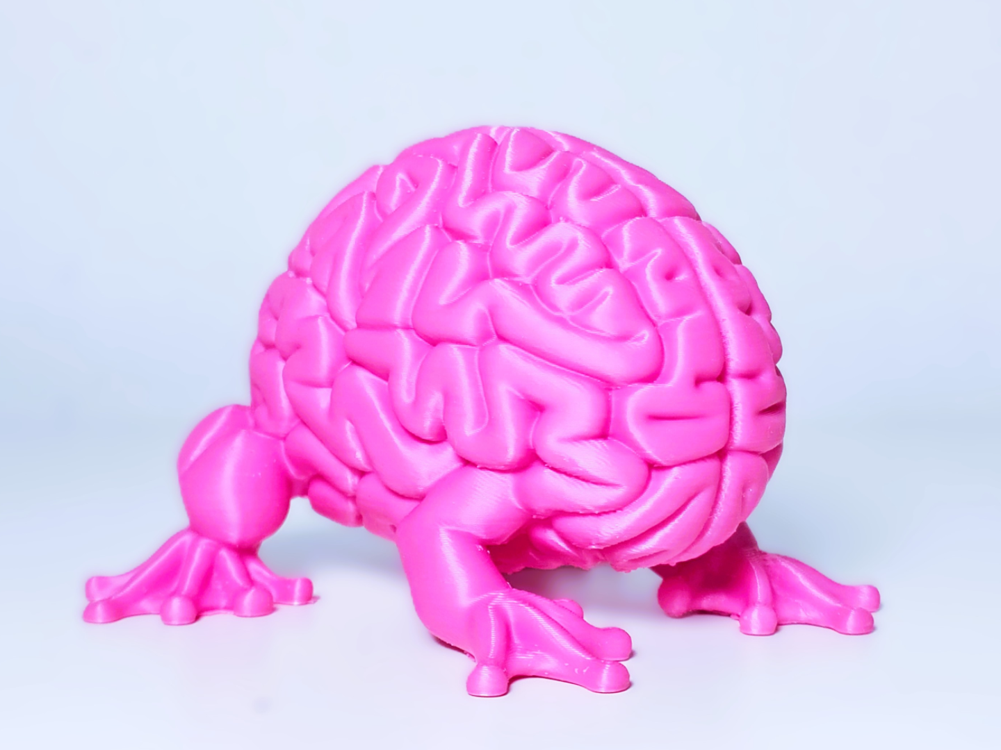 Brain Frog creature revised