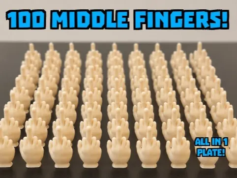 100 Middle Fingers to hide!