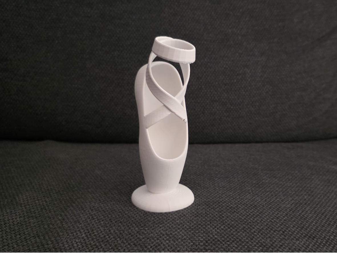 scarpetta ballerina portapenne