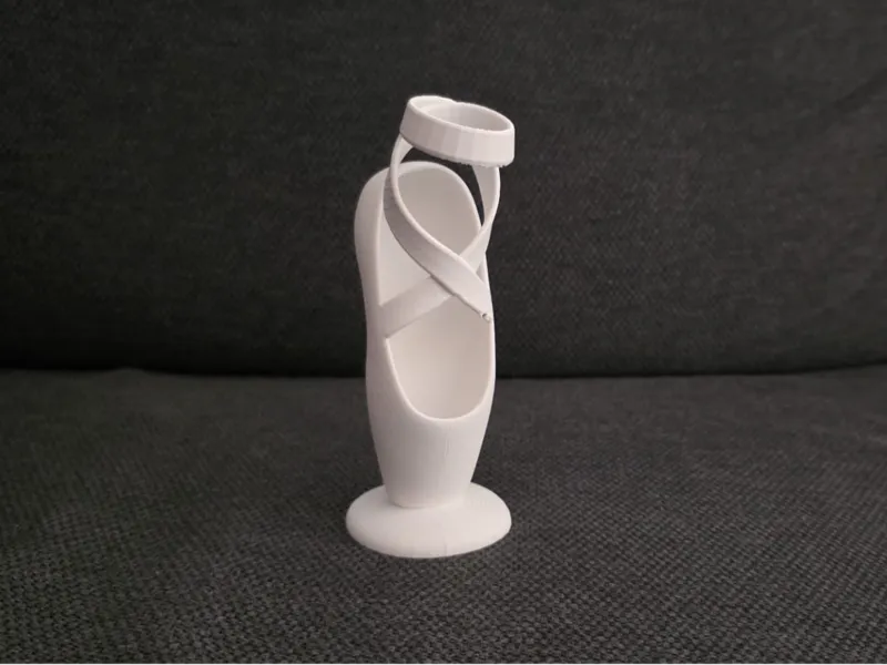 scarpetta ballerina portapenne