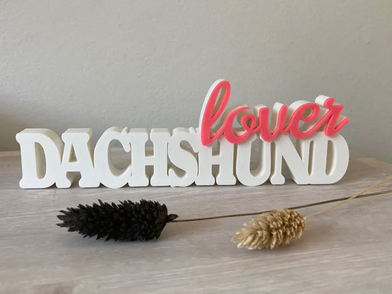 DACHSHUND lover