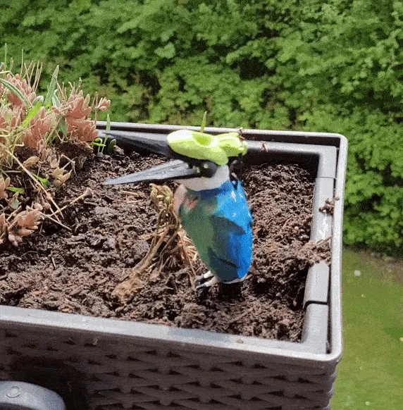 Self Watering Bird for Plants view 3