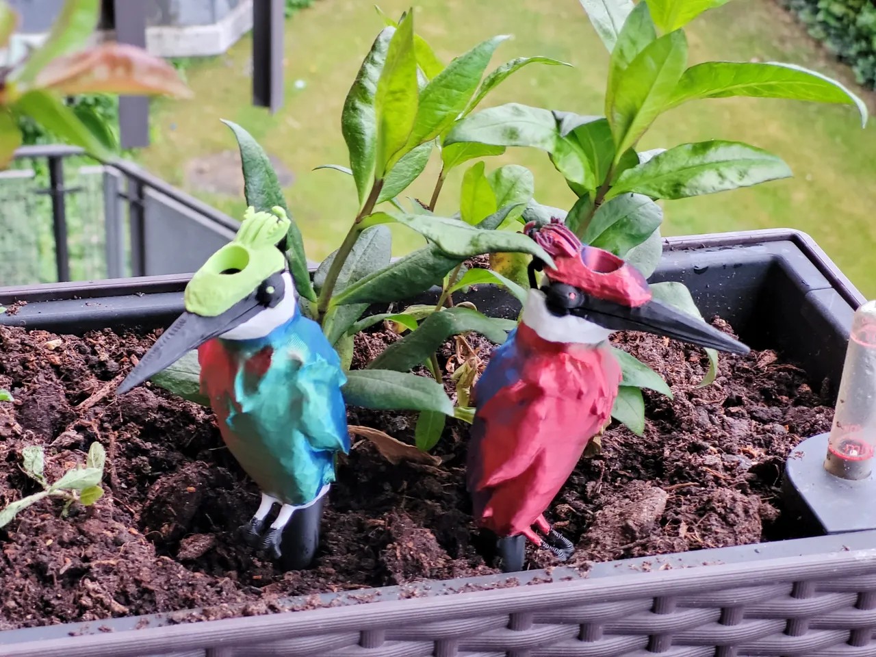 Self Watering Bird for Plants view 4