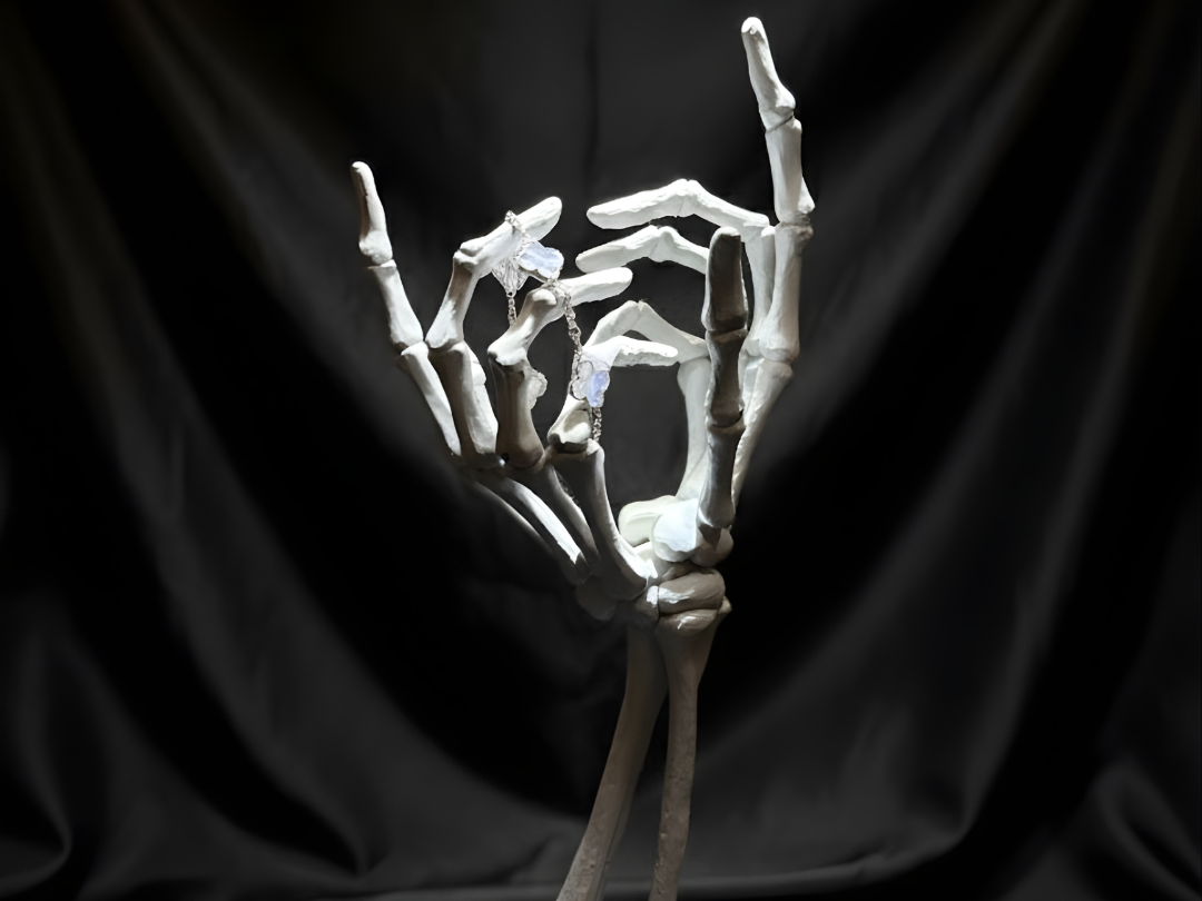 Dual Skeleton Hand Jewelry Holder