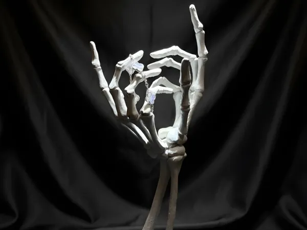 https://makerworld.bblmw.com/makerworld/model/US6549a2ca036592/design/8dffe3a394b19784.png