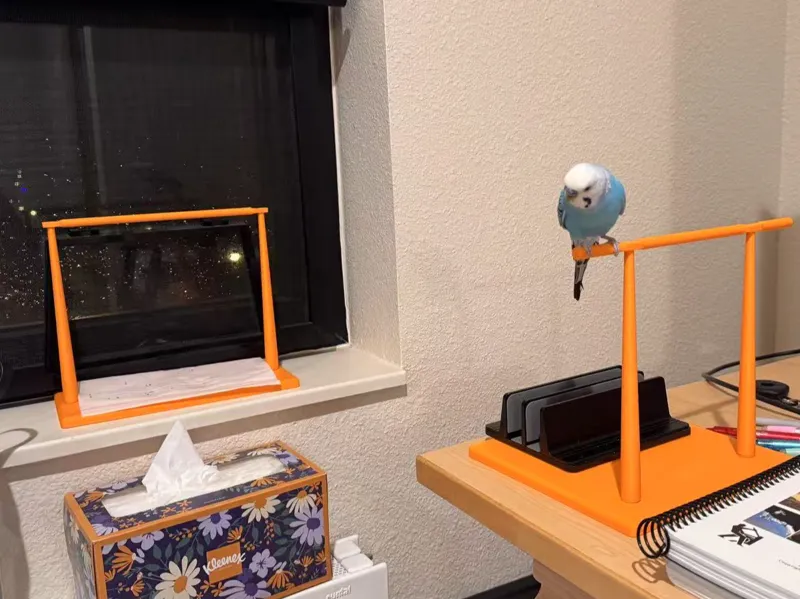 Bird Stand