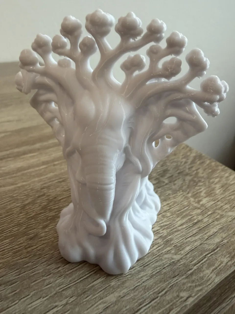 Elephant tree view 3