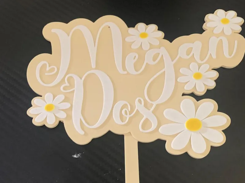 megan cake topper