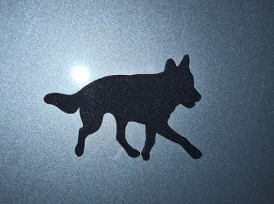Czechoslovakian Wolfdog Magnet