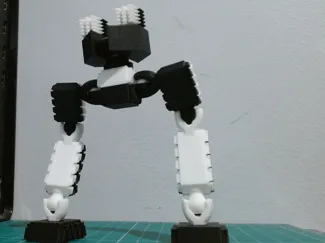 Rook-Mk2 model kit
