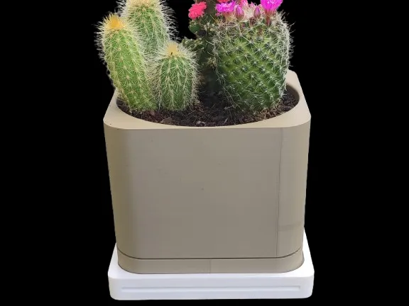 Succulent Square Vase