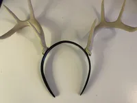 Bois de cerf sur bandeau — photo 7